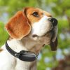 3683a15889aa – Electric Training Collar Precise Control Up to 1000 m