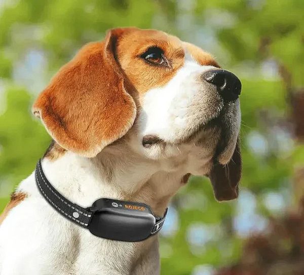 3683a15889aa – Electric Training Collar Precise Control Up to 1000 m