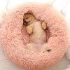 Cozy Cushion for Dog - Washable Dog Bed