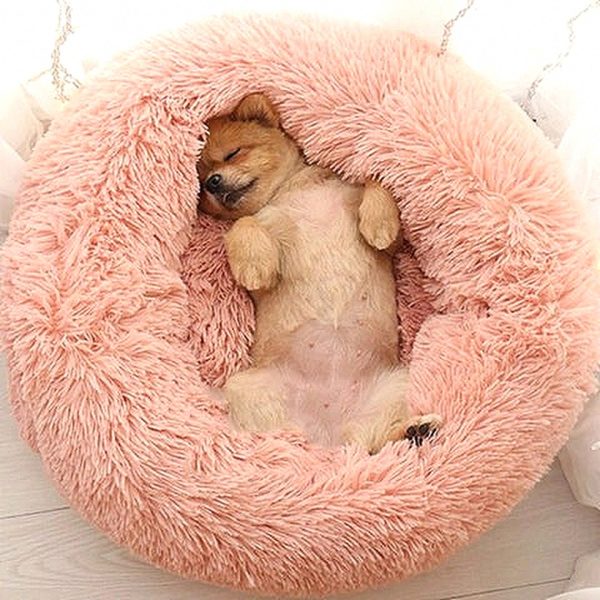 Cozy Cushion for Dog - Washable Dog Bed