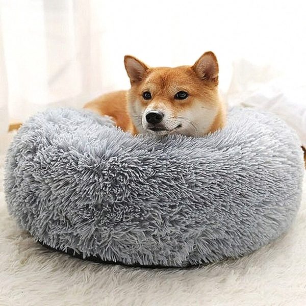 Cozy Cushion for Dog - Washable Dog Bed