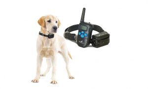 Adjustable Electric Bark Prevention Collar for Dog