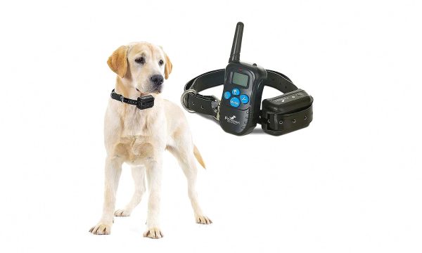 b2124837d319 Adjustable Electric Bark Prevention Collar for Dog