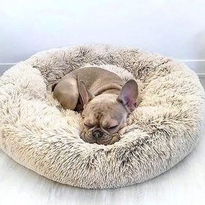 Cozy Cushion for Dog - Washable Dog Bed