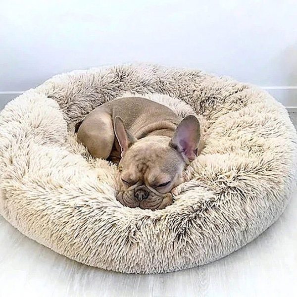 Cozy Cushion for Dog - Washable Dog Bed