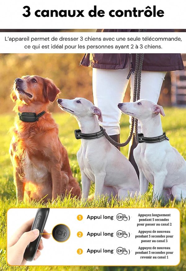 c056bca1c8e7 – Electric Training Collar Precise Control Up to 1000 m