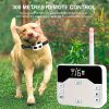 – Training Collar & Wireless Fence 2-in-1 for Dog