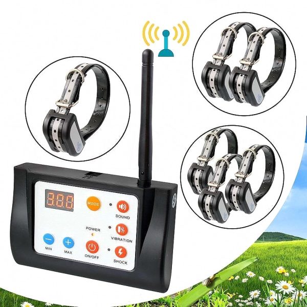 Electronic Fence for Free-Roaming Dog