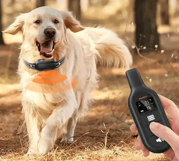 f2769df80527 – Electric Training Collar Precise Control Up to 1000 m