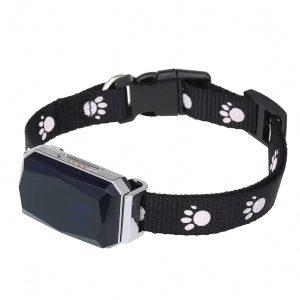 Waterproof GPS Collar for Connected and Sturdy Dog