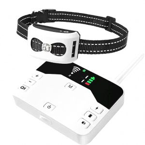 – Training Collar & Wireless Fence 2-in-1 for Dog