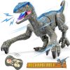 Remote Control Dinosaur Toy with Lights and Sound — OutDoor by ELKLU