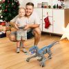 Remote Control Dinosaur Toy with Lights and Sound — OutDoor by ELKLU